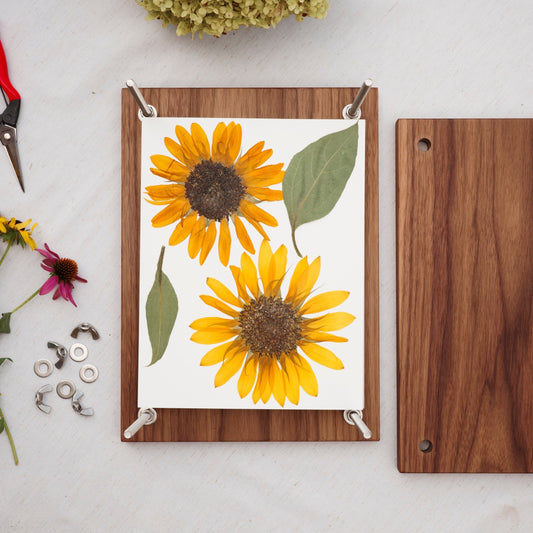 Walnut Wood Flower Press with pressed sunflowers in it