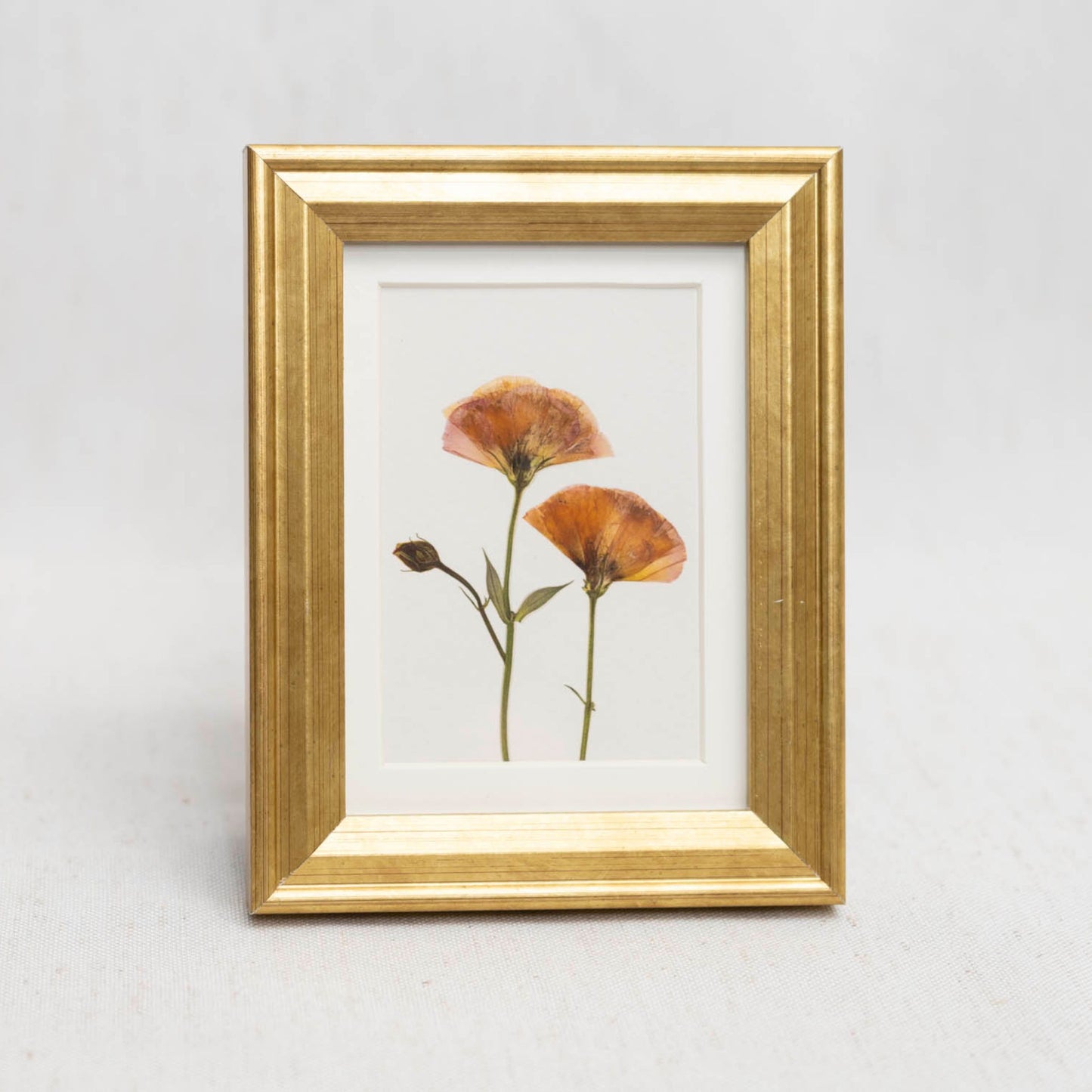 Blush & Bloom Framed Mini Print