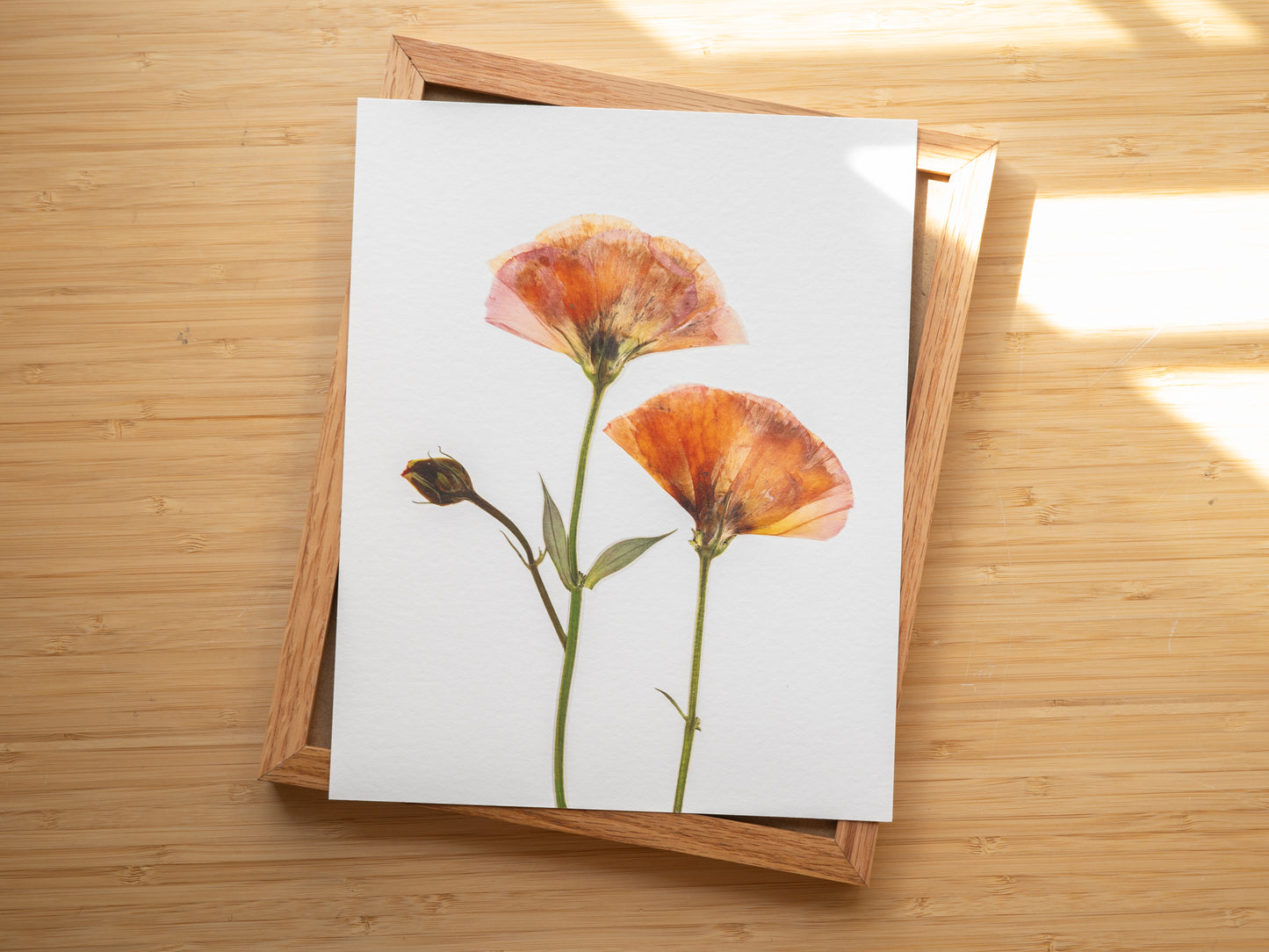 Blush & Bloom