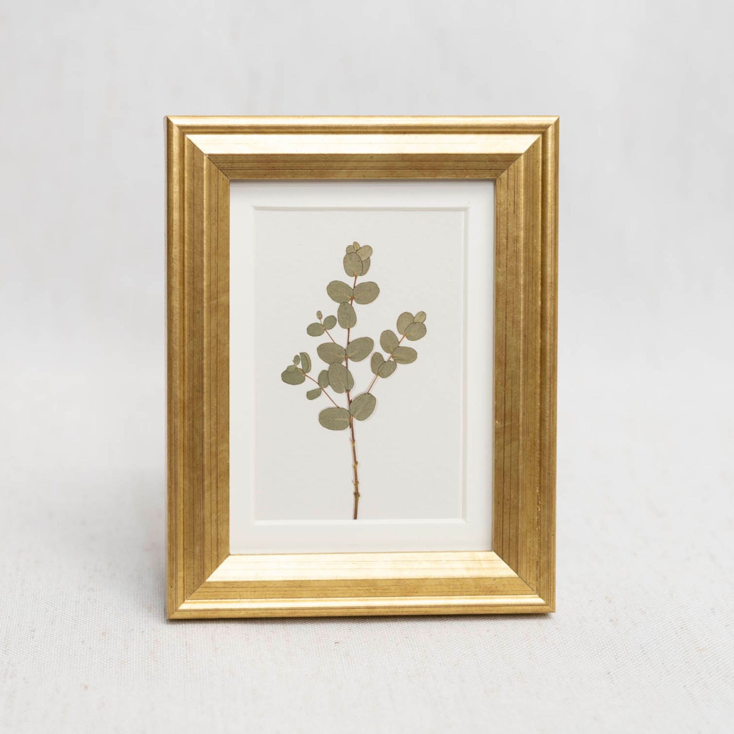 Eucalyptus Framed Mini Print