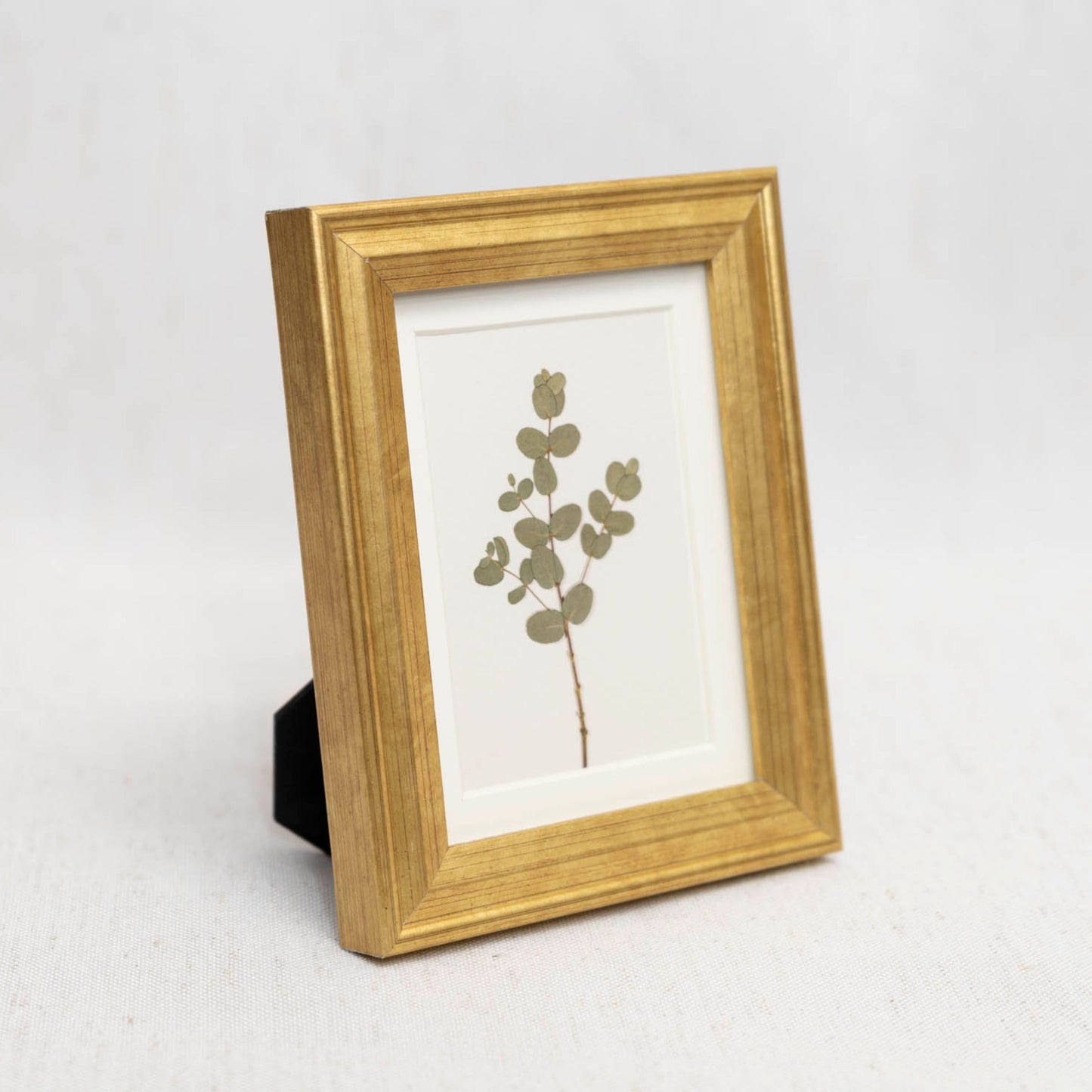 Eucalyptus Framed Mini Print