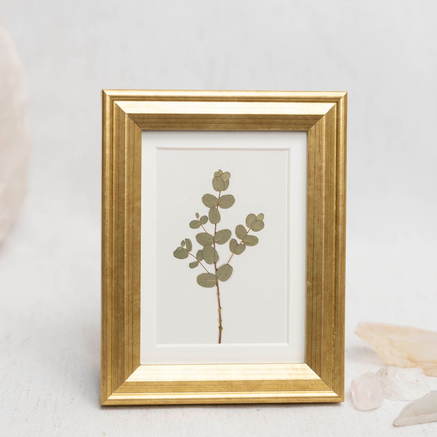 Eucalyptus Framed Mini Print