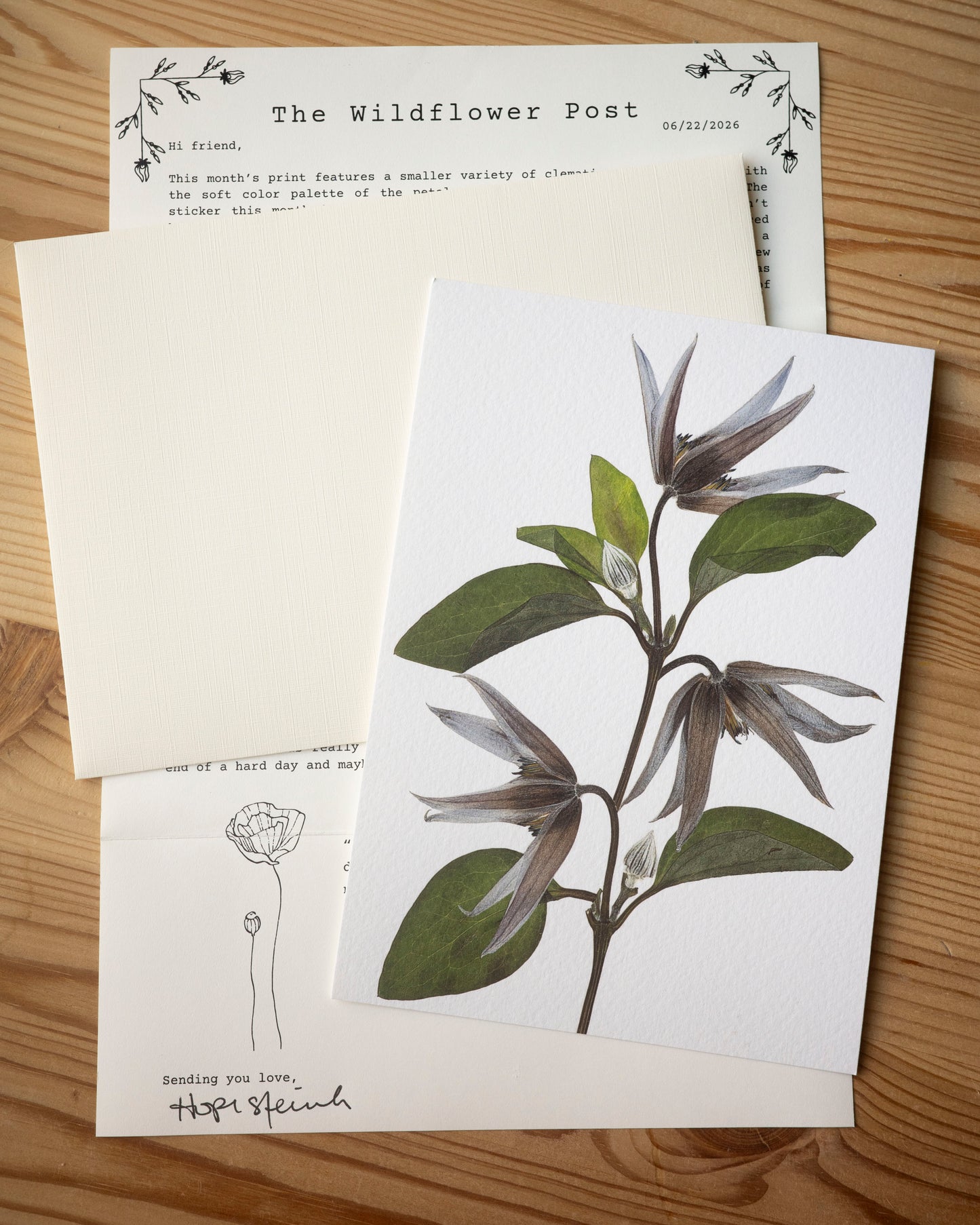 The Wildflower post letter with with a cream envelope and fine art print of a pressed clematis