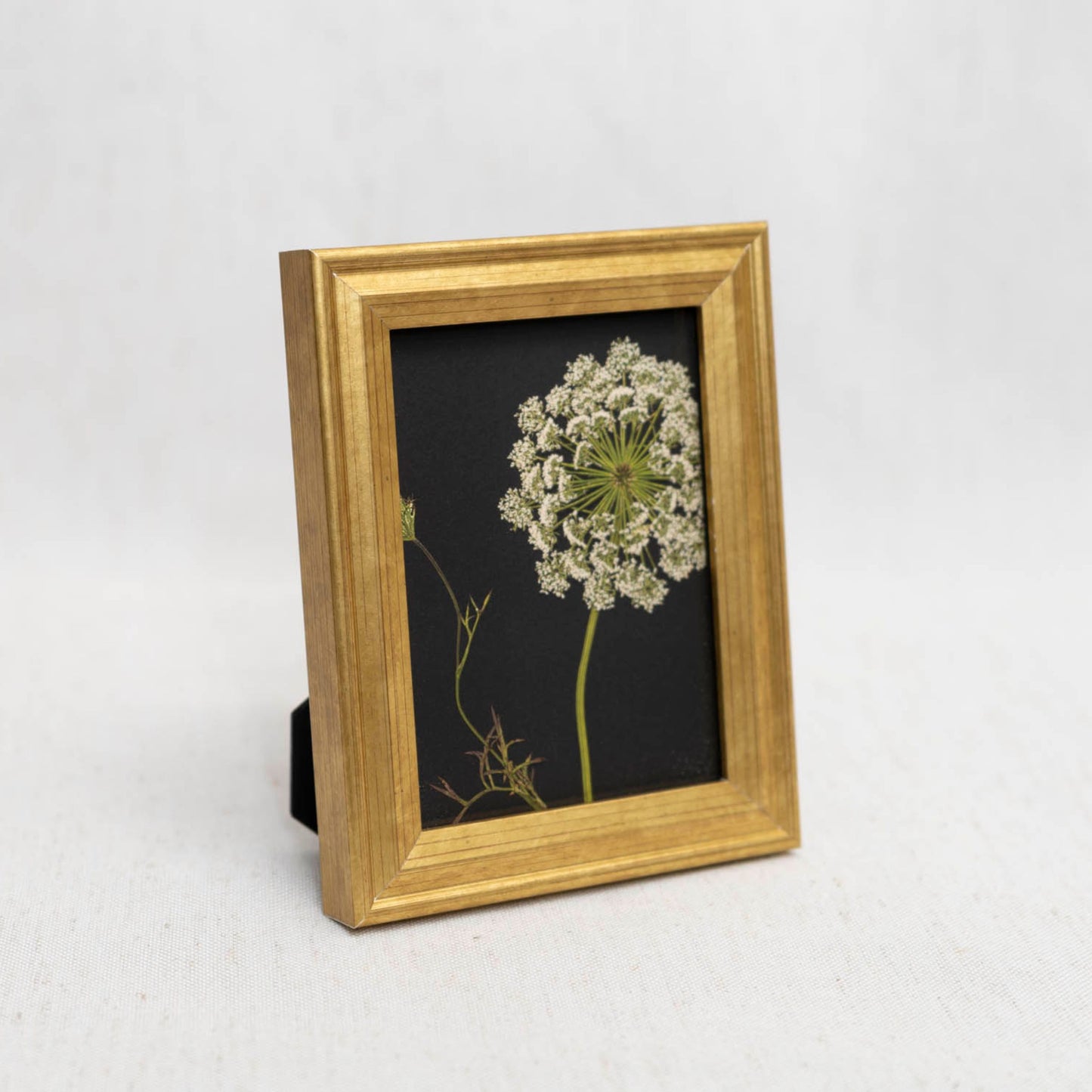 Lace & Light Framed Mini Print