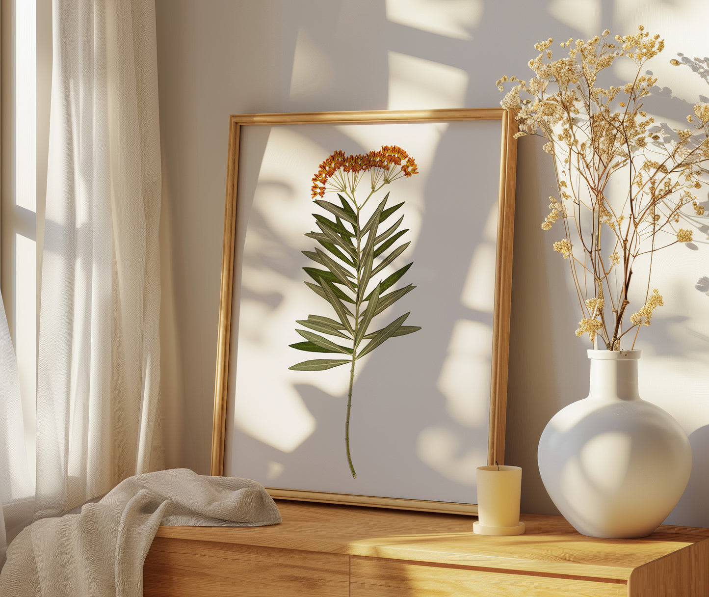 Milkweed Moment