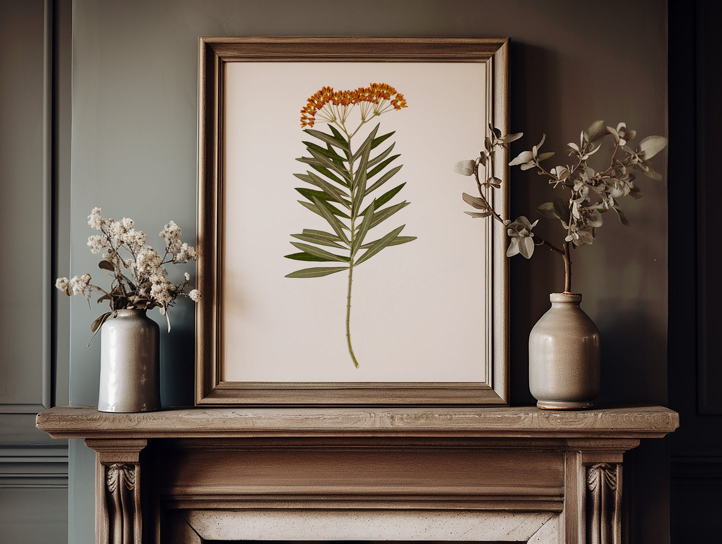 Milkweed Moment