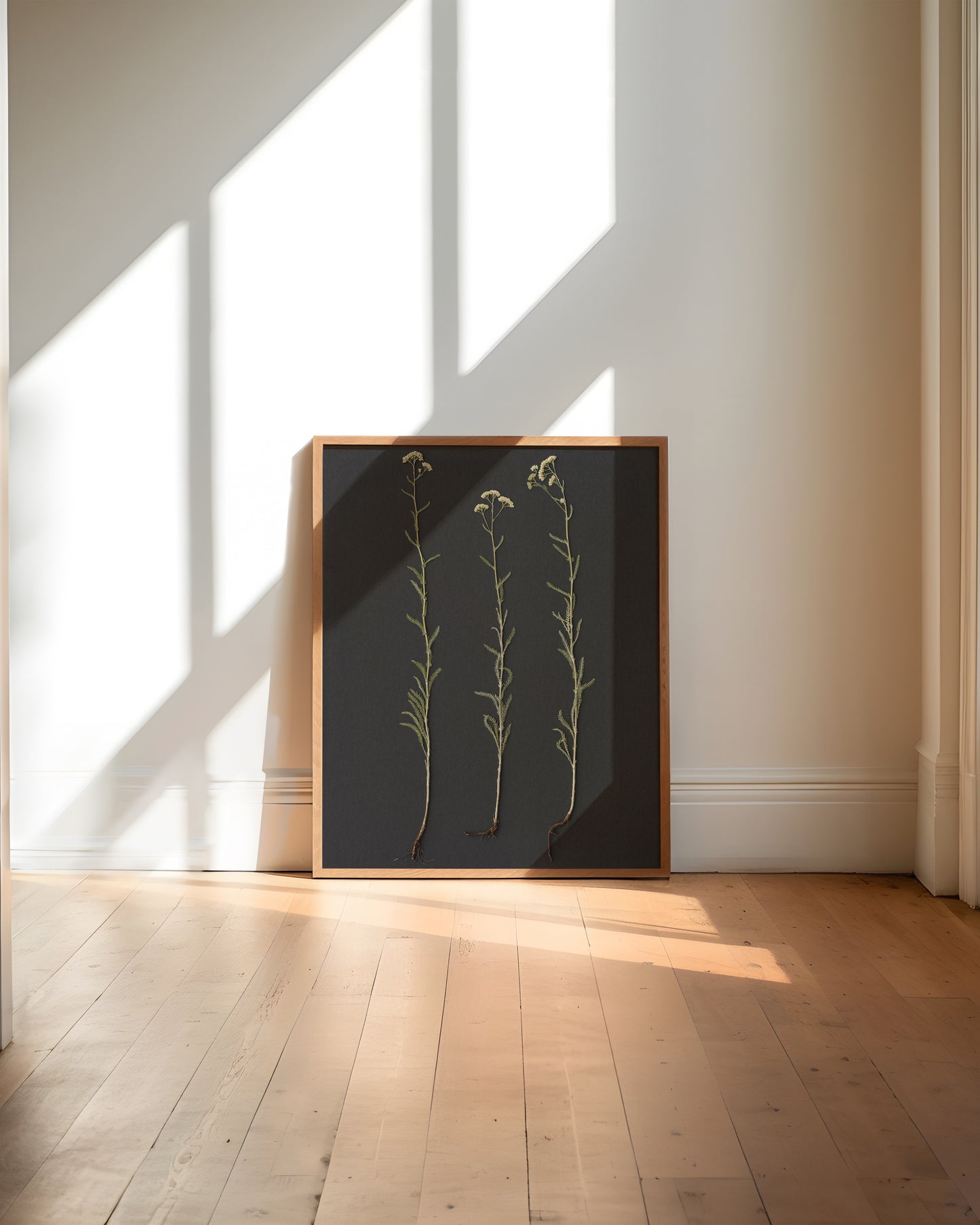 Root Series No. 1