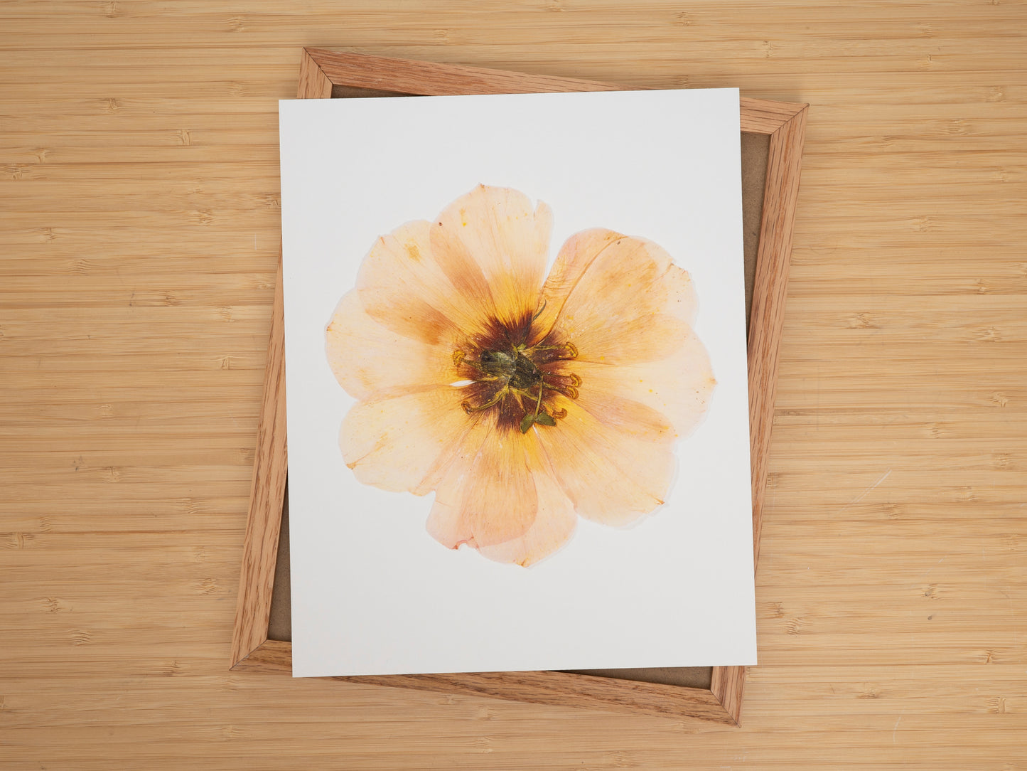 Slow Bloom