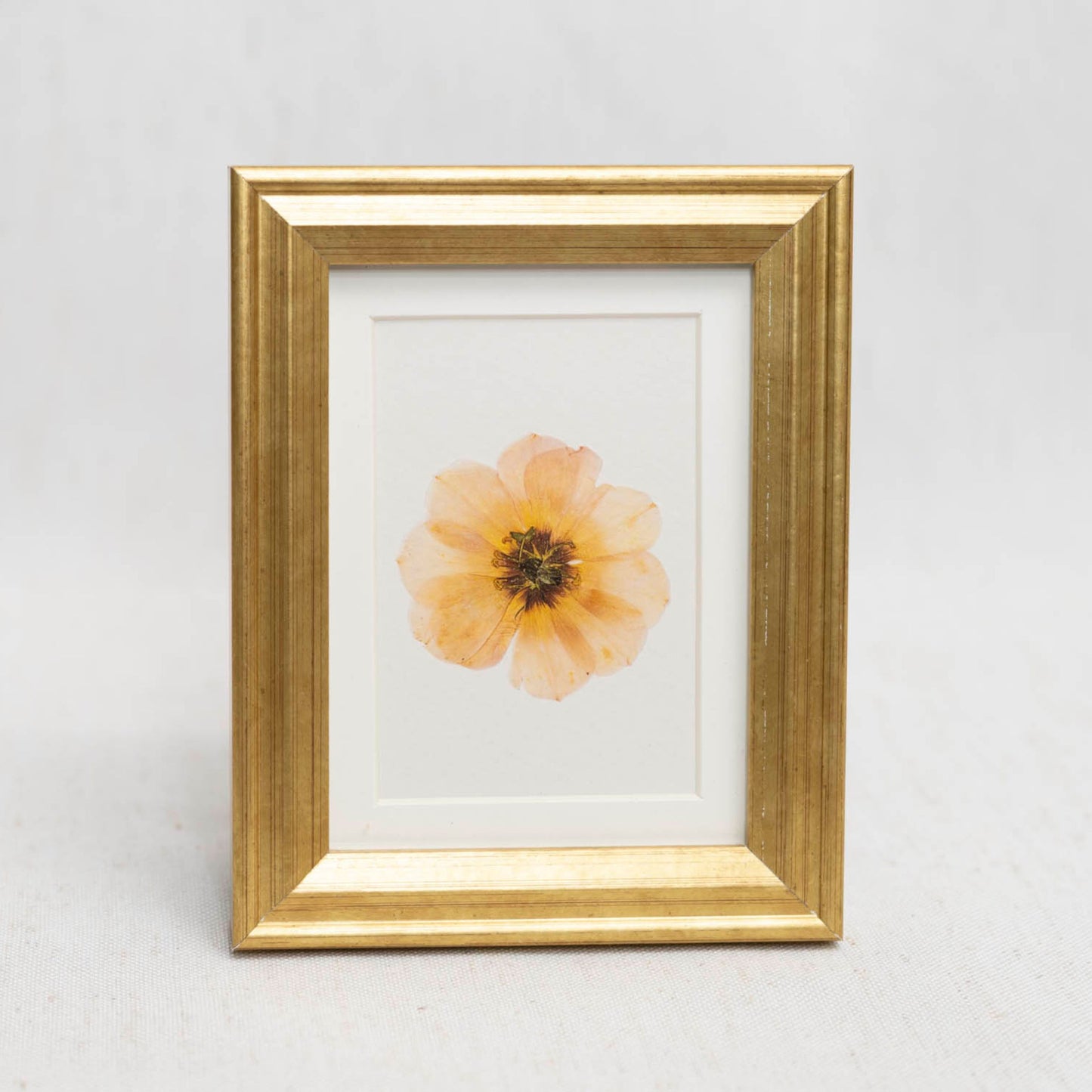 Slow Bloom Framed Mini Print