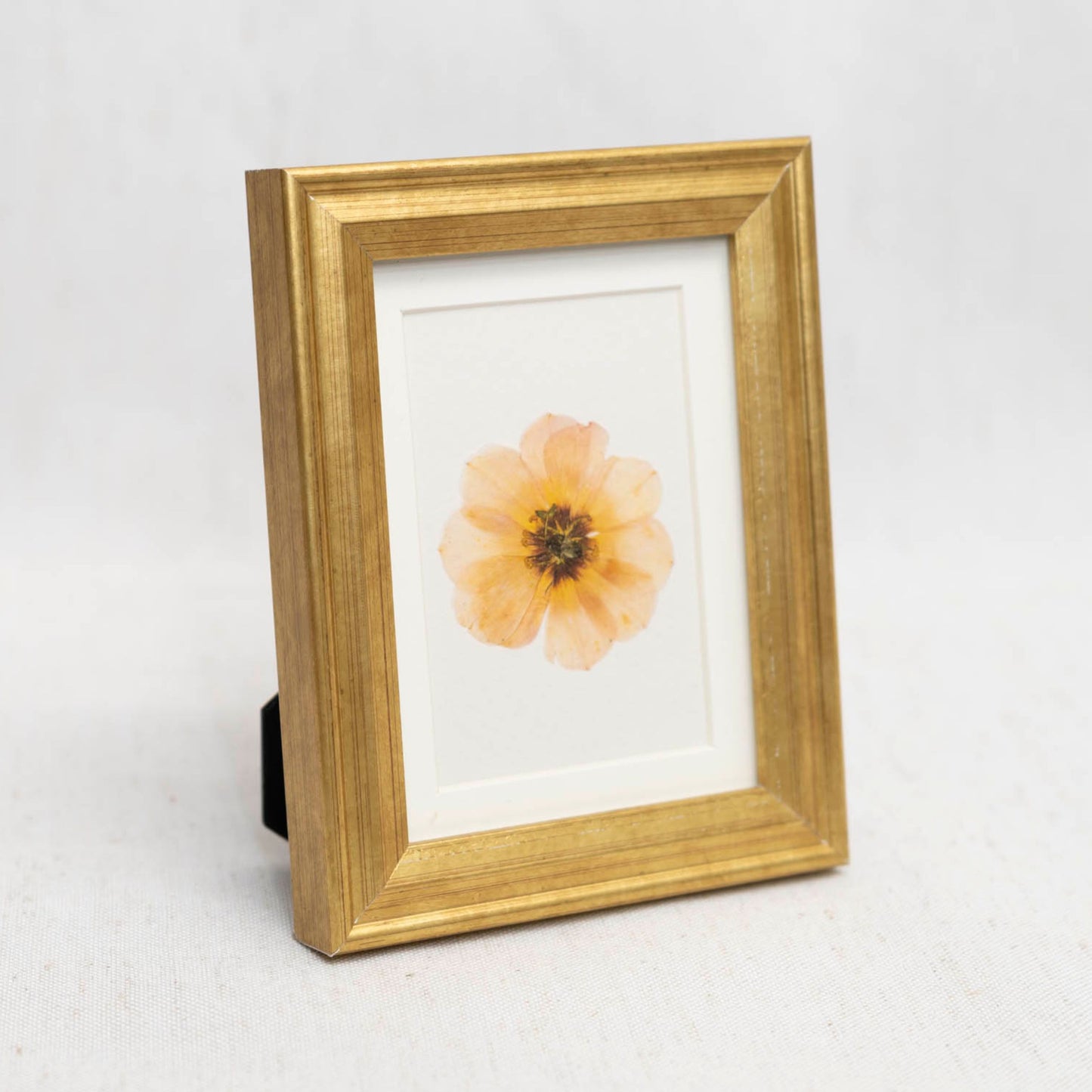 Slow Bloom Framed Mini Print