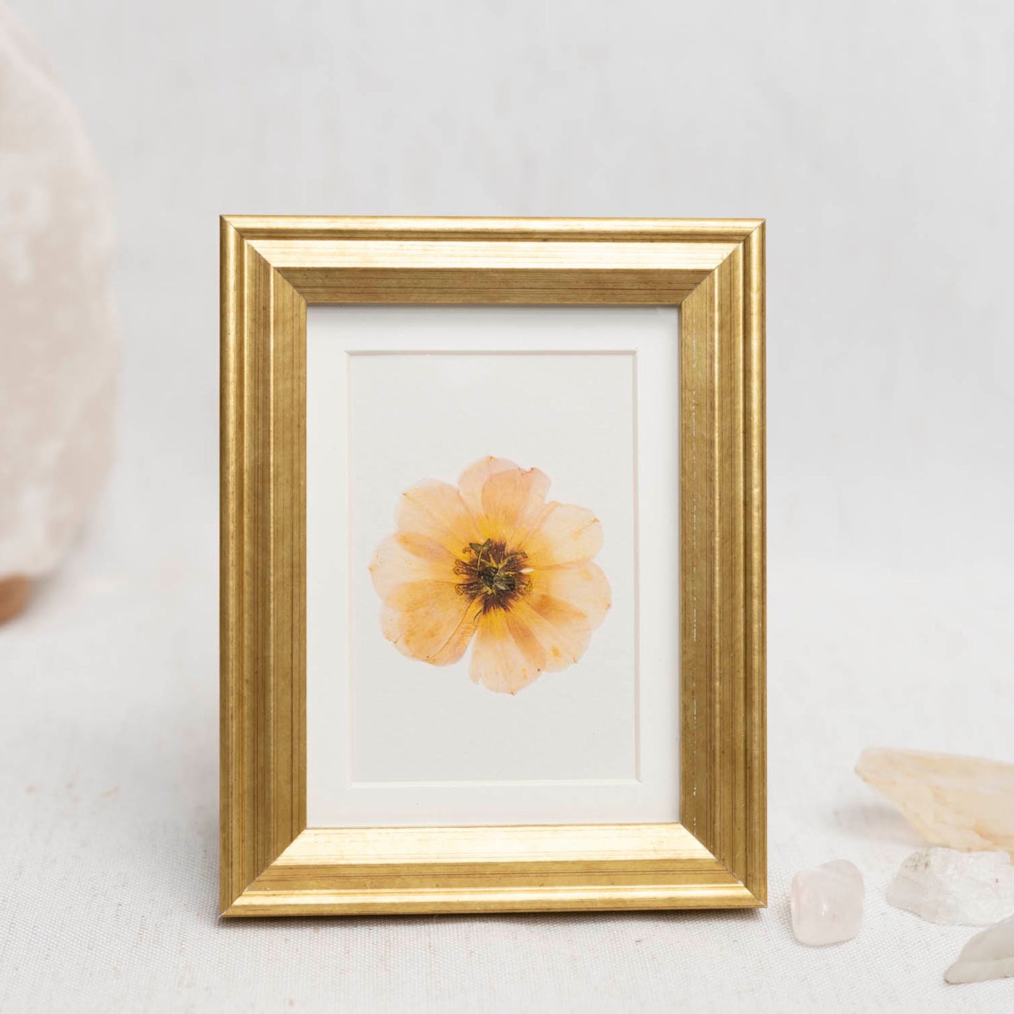 Slow Bloom Framed Mini Print