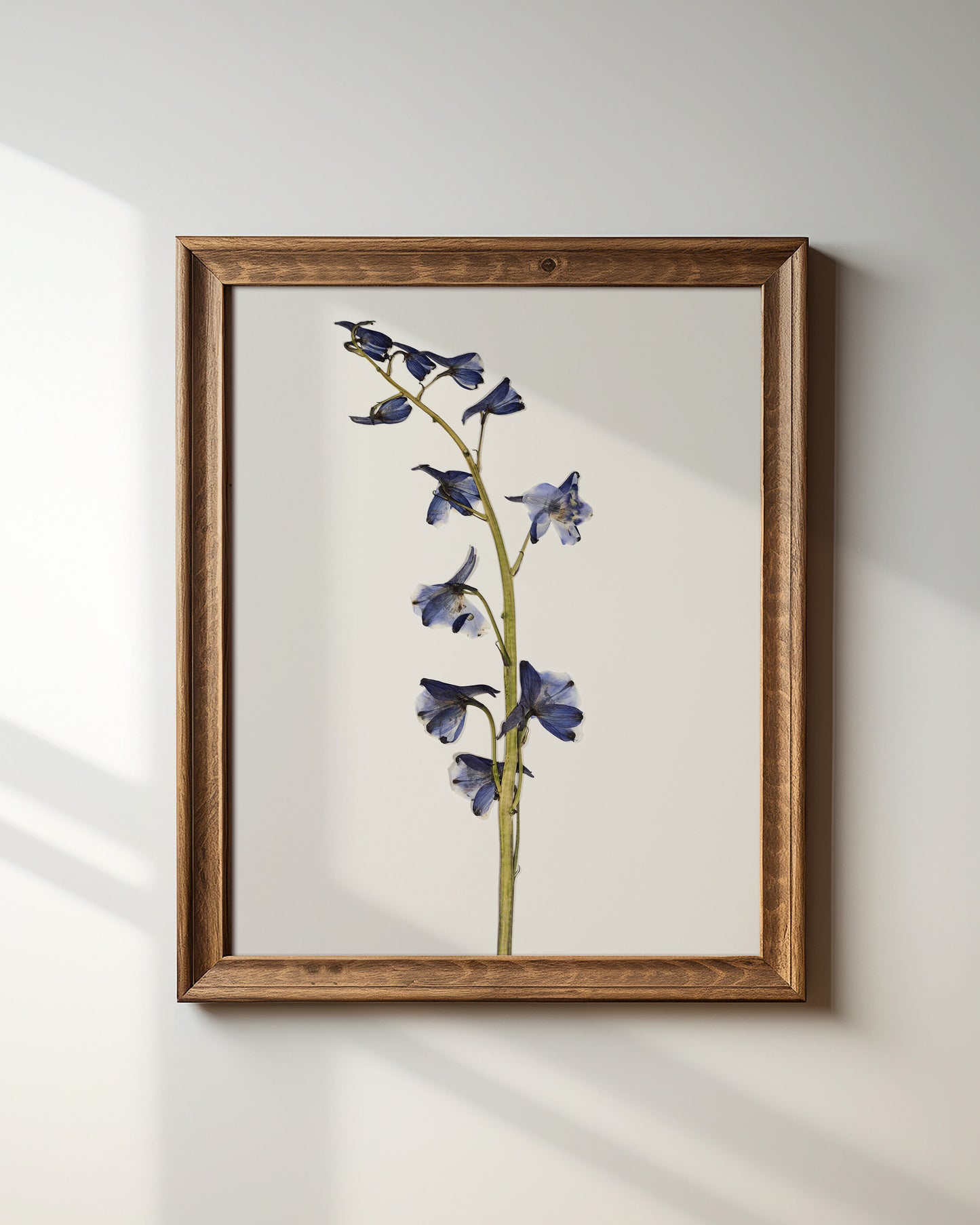Wistful Blue