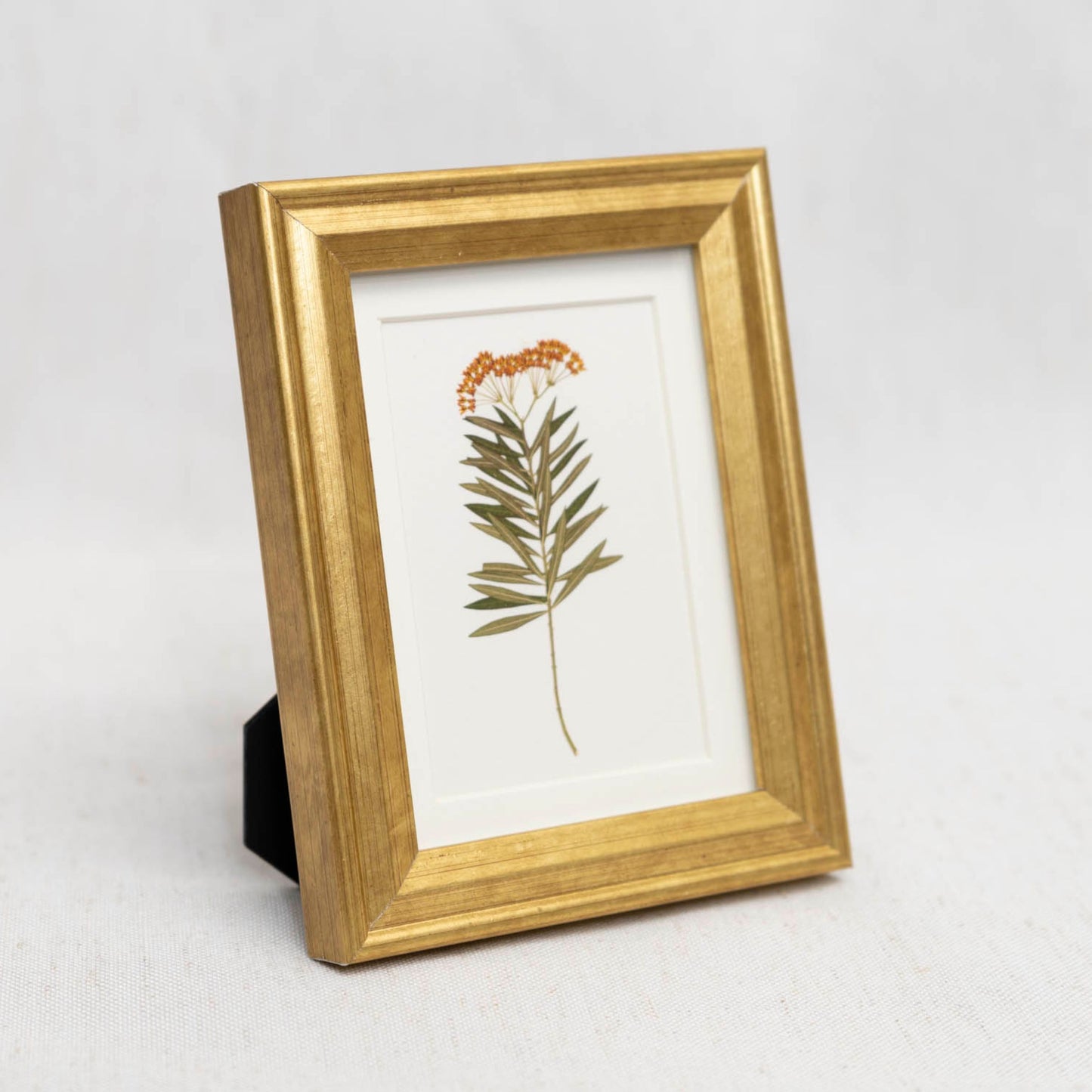Milkweed Moment Framed Mini Print