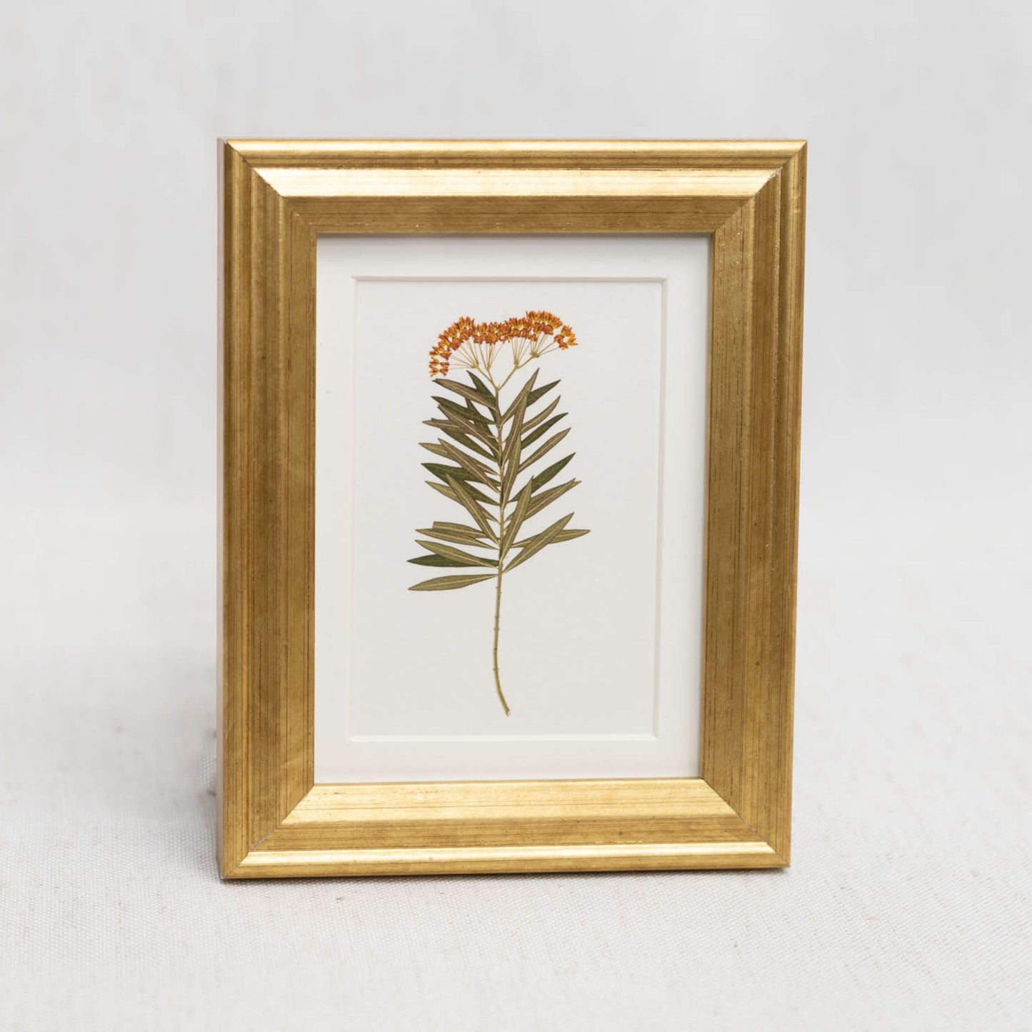 Milkweed Moment Framed Mini Print