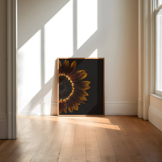 Framed pressed sunflower art print on a wall in a bright room with sunlight streaming through windows.