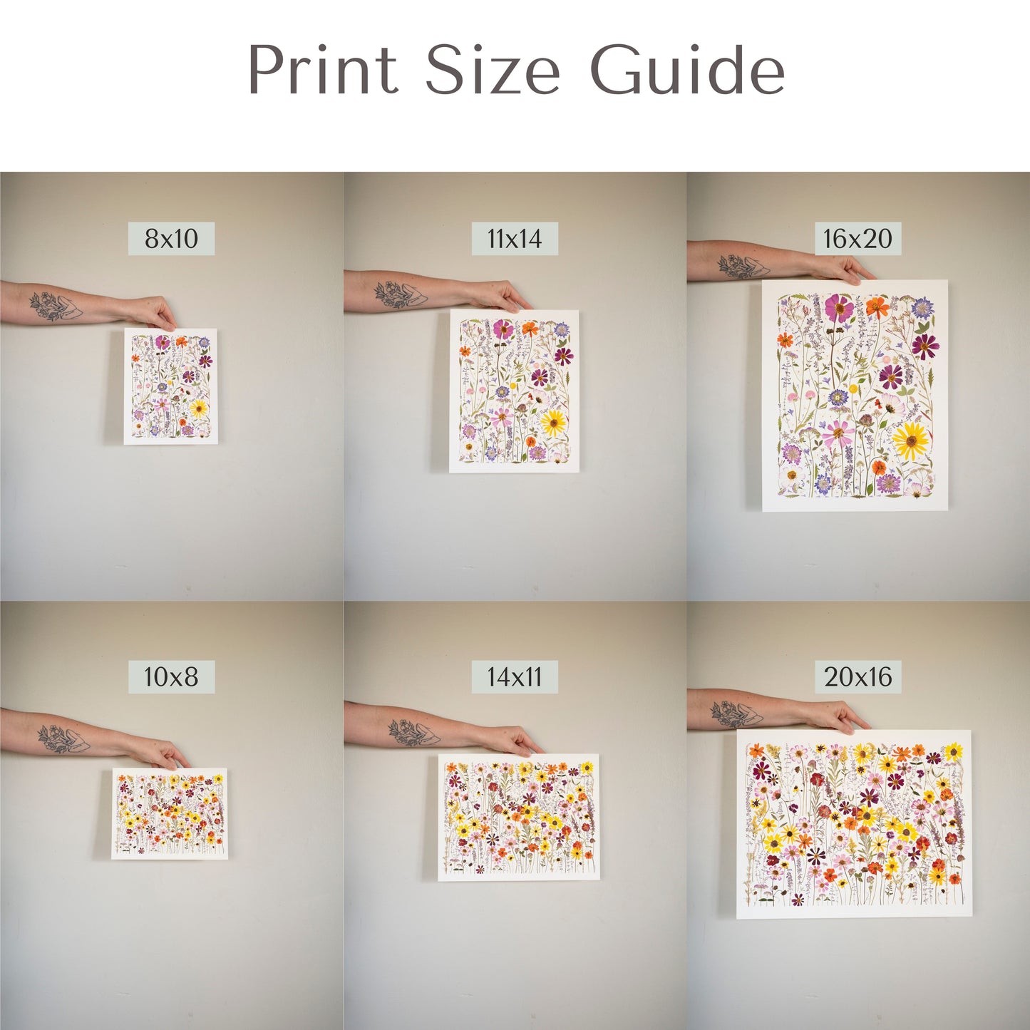 Picture showing different size prints 8x10, 11x14, 16x20, 10x8, 14x11, and 20x16