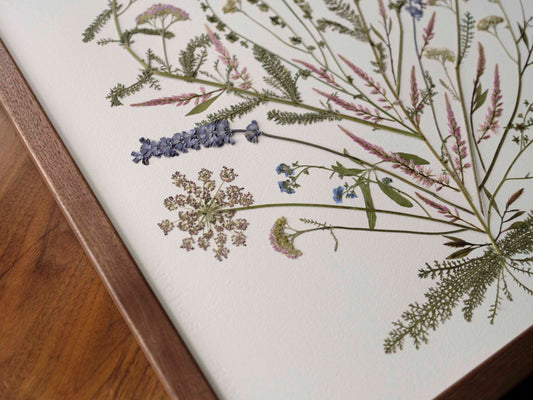 Framed pressed flower collage
