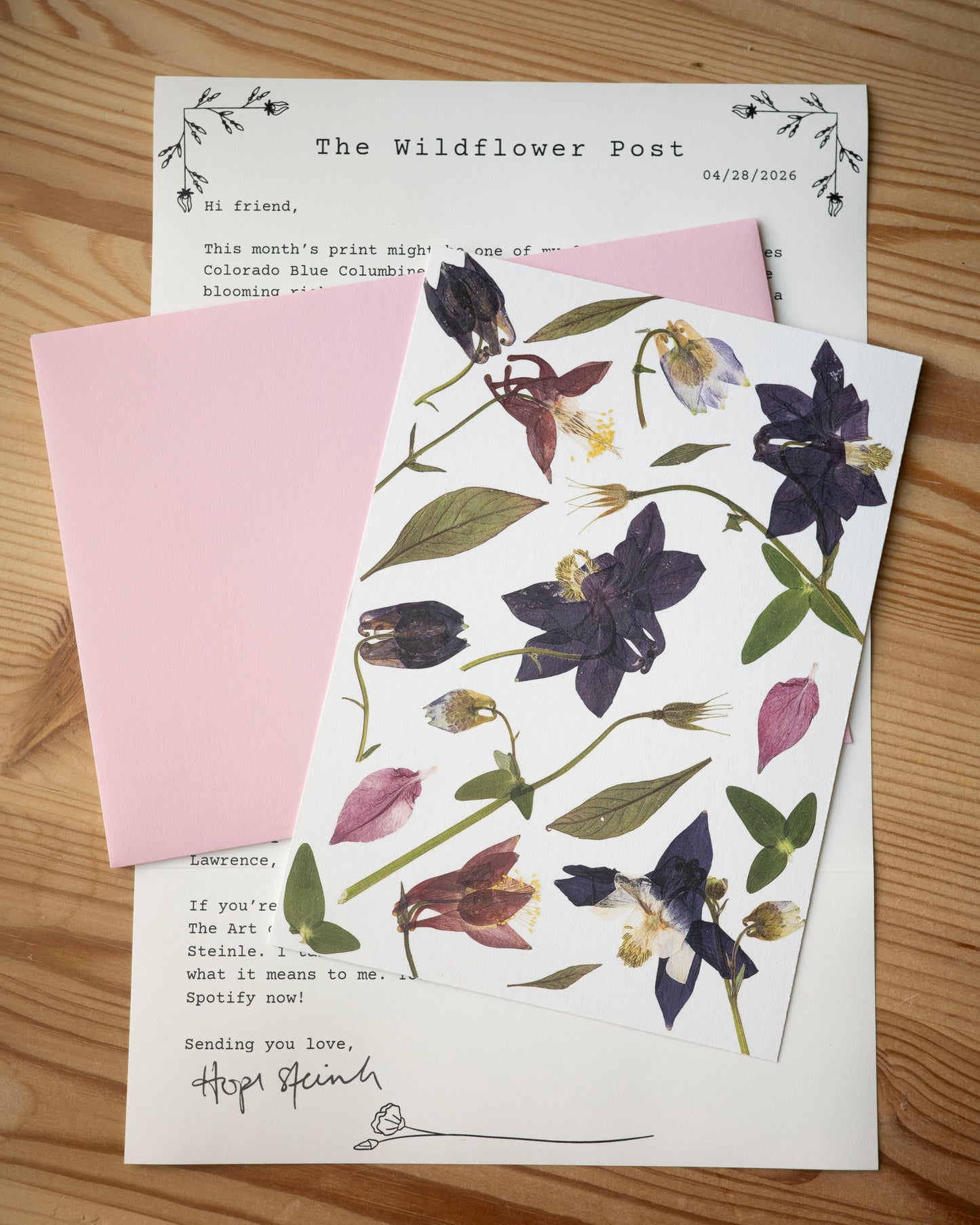 The Wildflower post letter with with a pink envelope and fine art print of pressed columbine.
