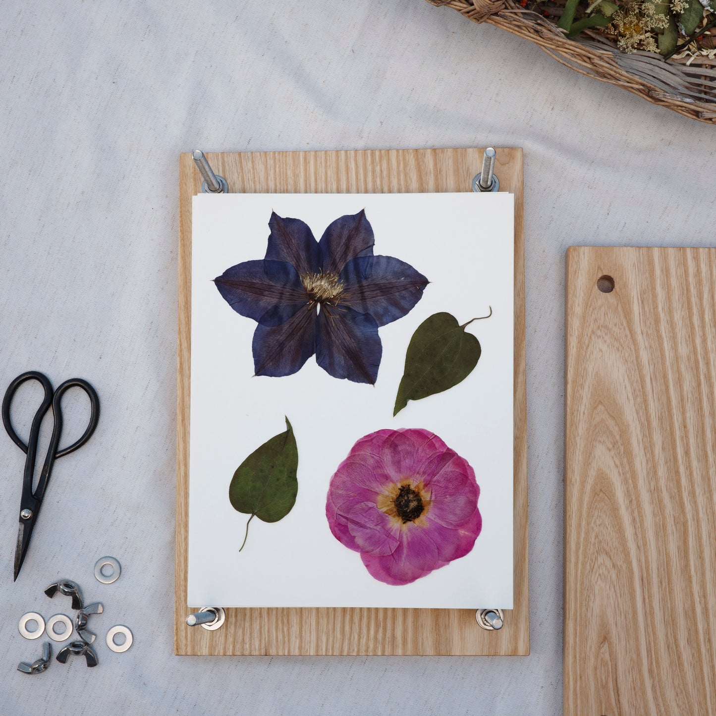 Press No. 10 - Large Heirloom Hardwood Flower Press