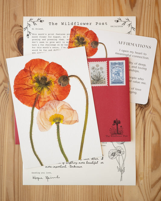 Art print of pressed poppies with letter and affirmation card on table.