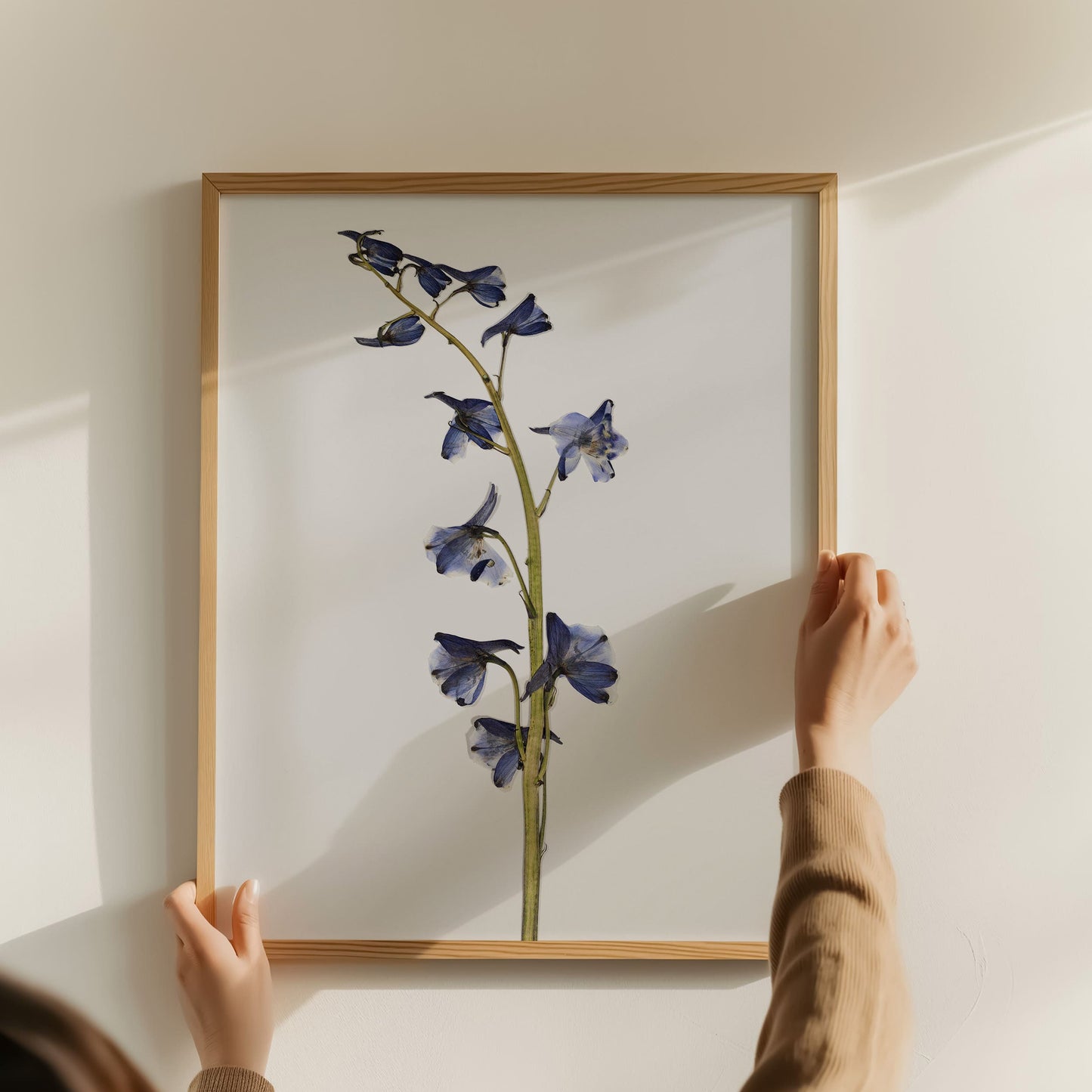 Person hanging a framed print of blue pressed flower on a wall