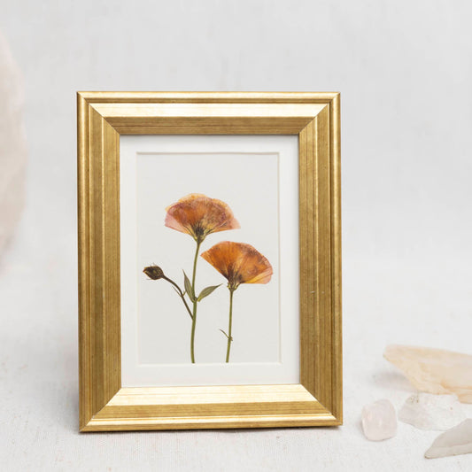 Blush & Bloom Framed Mini Print