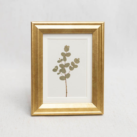 Eucalyptus Framed Mini Print