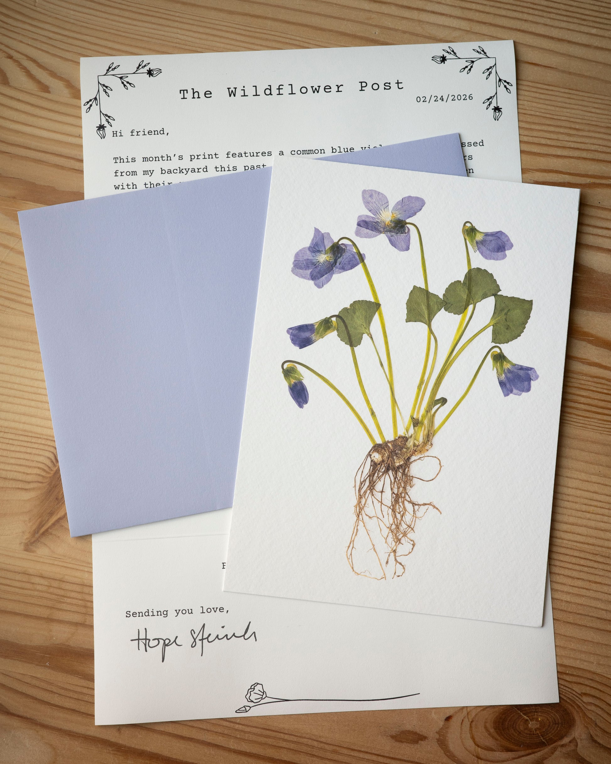 The Wildflower post letter with with a light purple envelope and fine art print of a pressed violets with the roots.