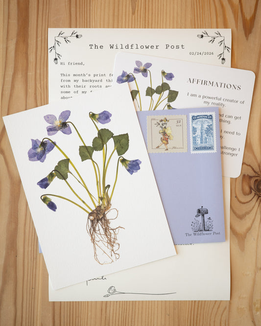 Art print of pressed violet with letter and affirmation card on table. 
