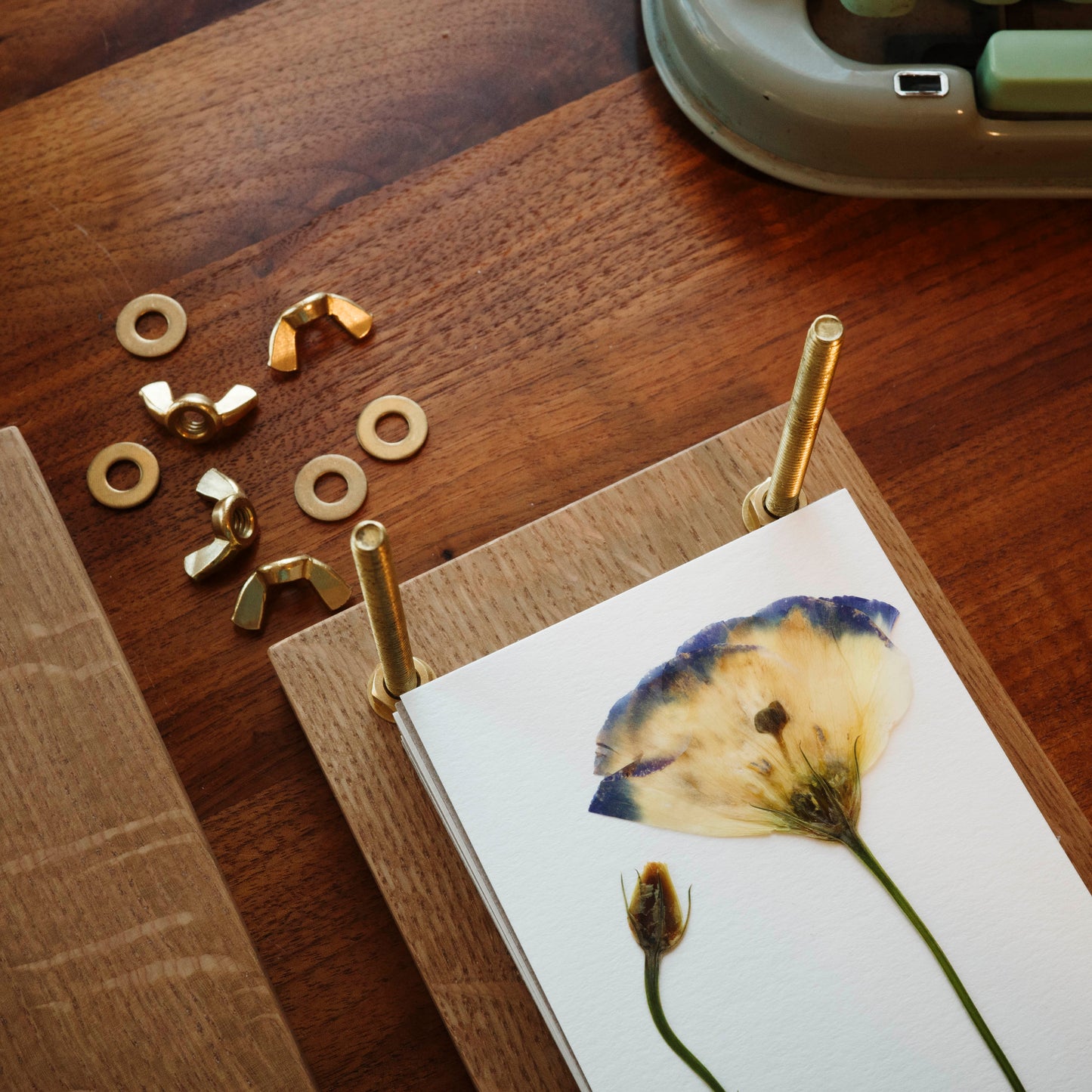 Close up of wood flower press with brass bolts and wingnuts and showing a pressed flower in the press.