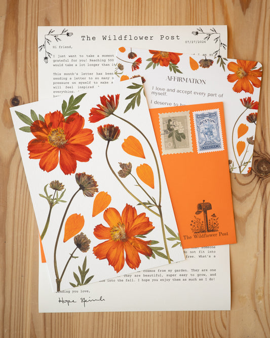 Art print of pressed orange cosmos with letter and affirmation card on table.