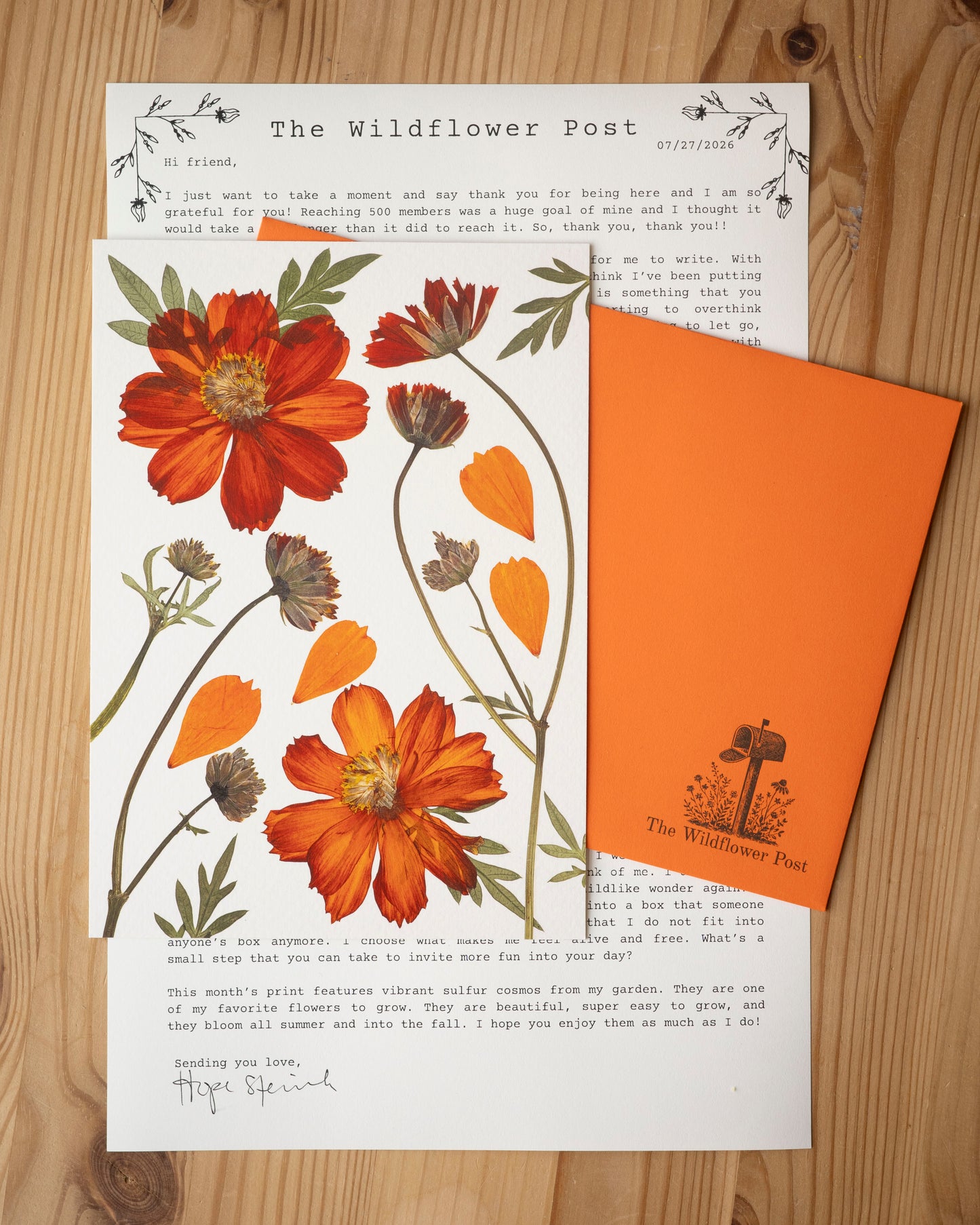 Wildflower Post July 2026