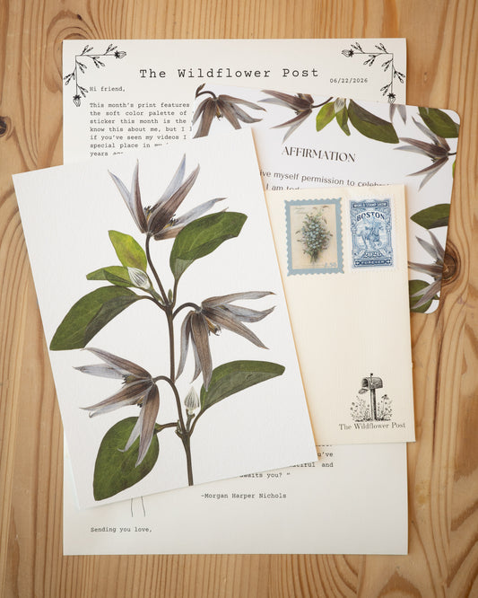 Art print of pressed clematis with letter and affirmation card on table.