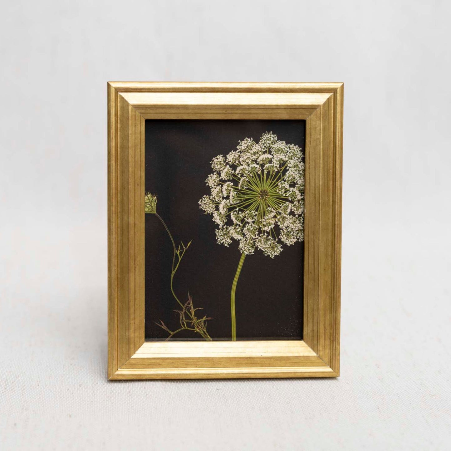 Lace & Light Framed Mini Print