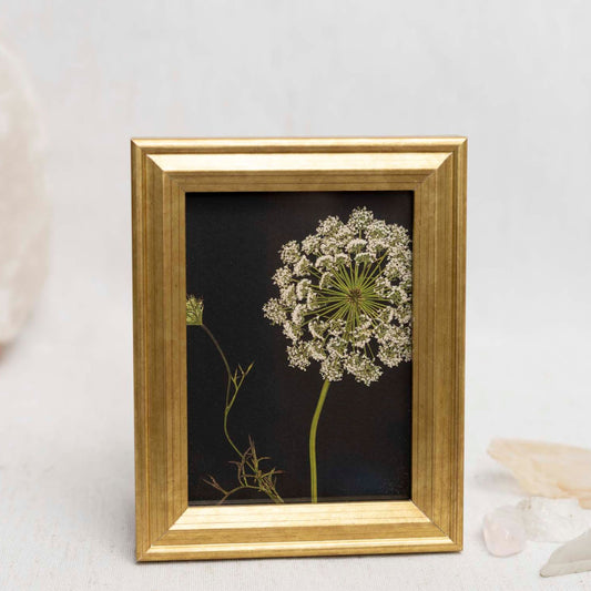 Lace & Light Framed Mini Print