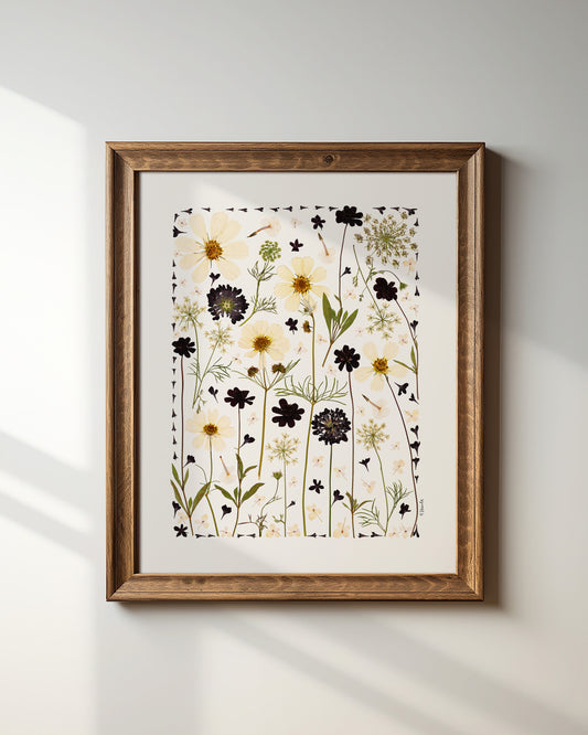 Midnight Meadow