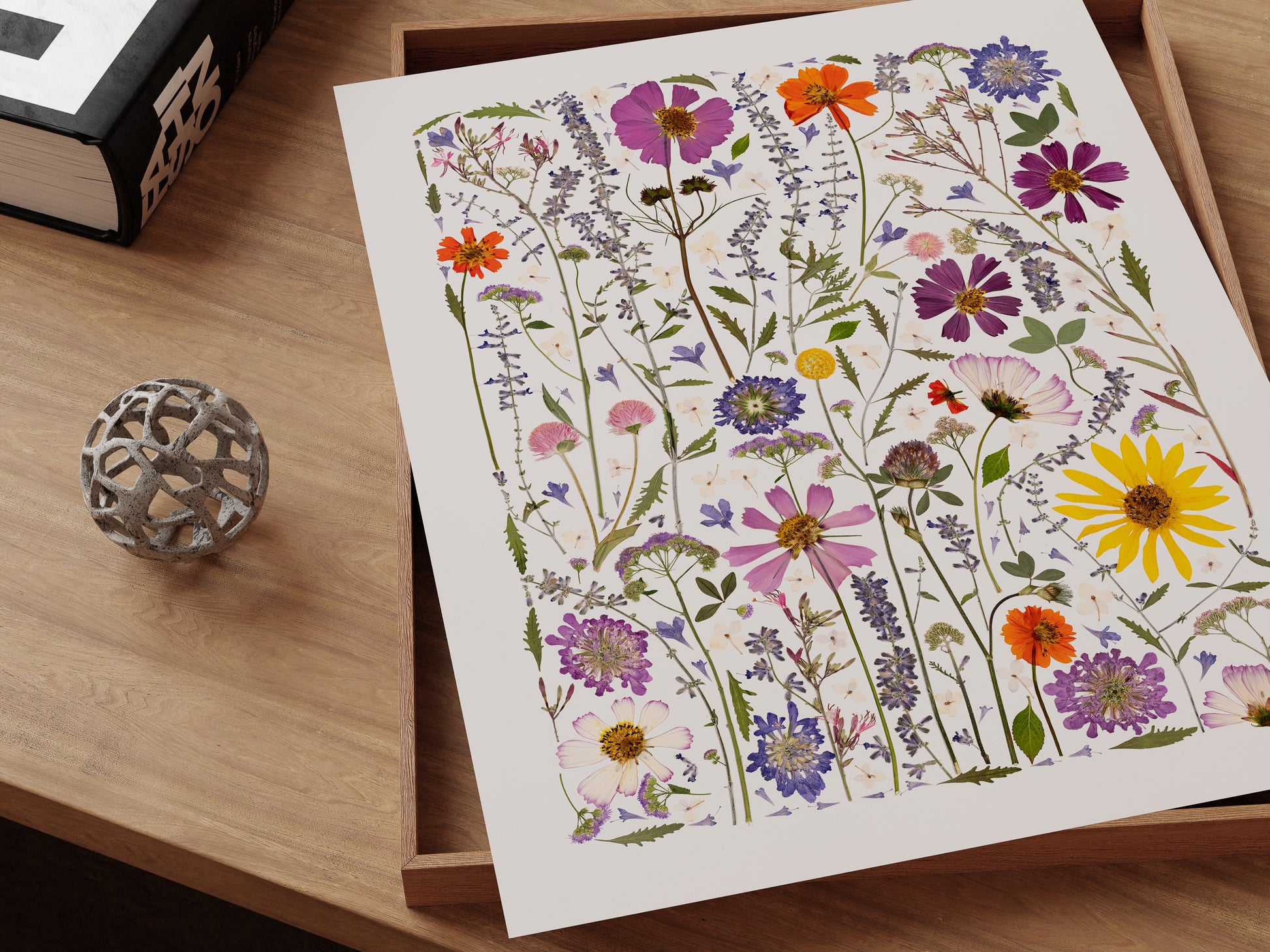 Art print of pressed wildflowers with colorful blossoms on a desk.