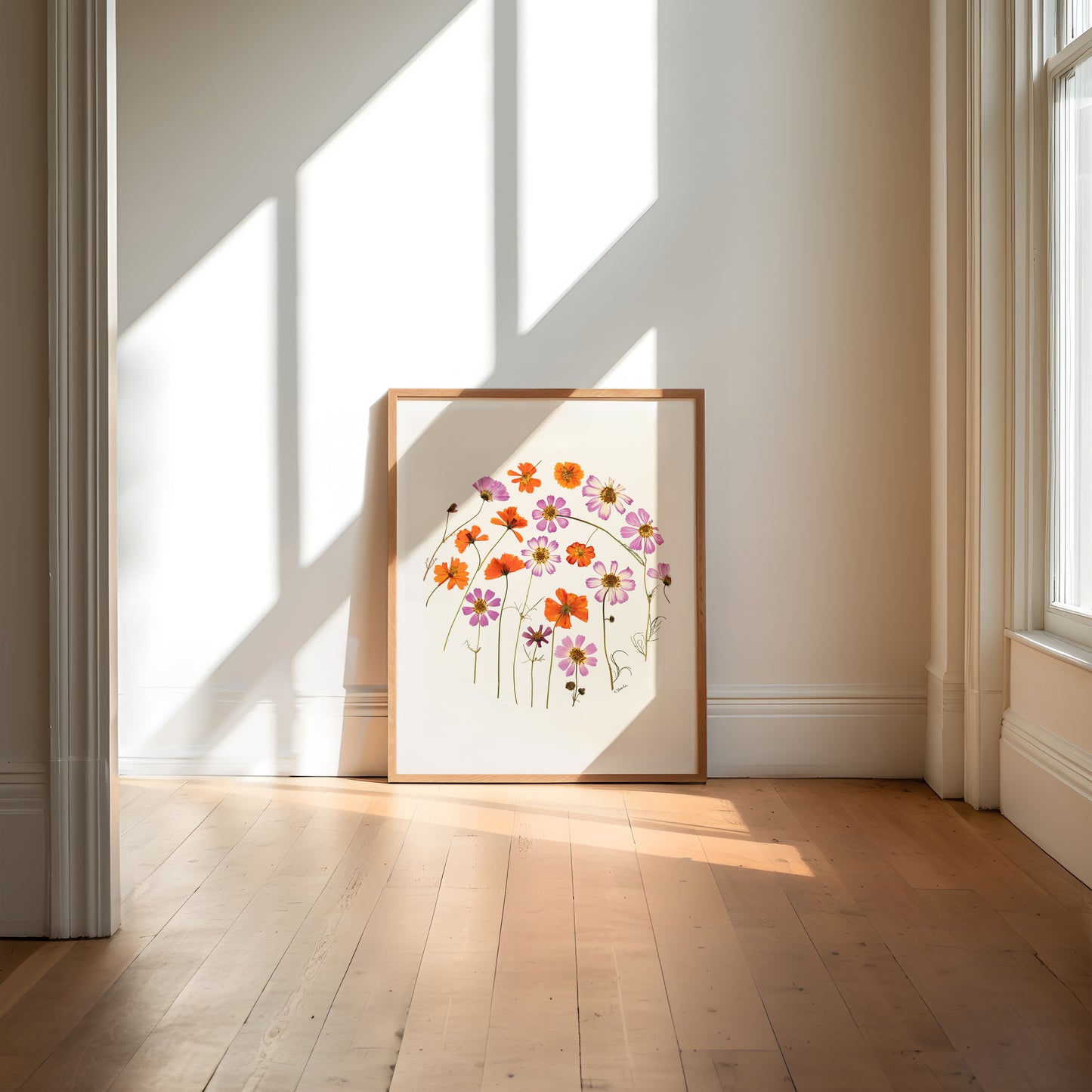 Framed pressed cosmos circle collage fine art print on a wall with sunlight streaming through large windows.