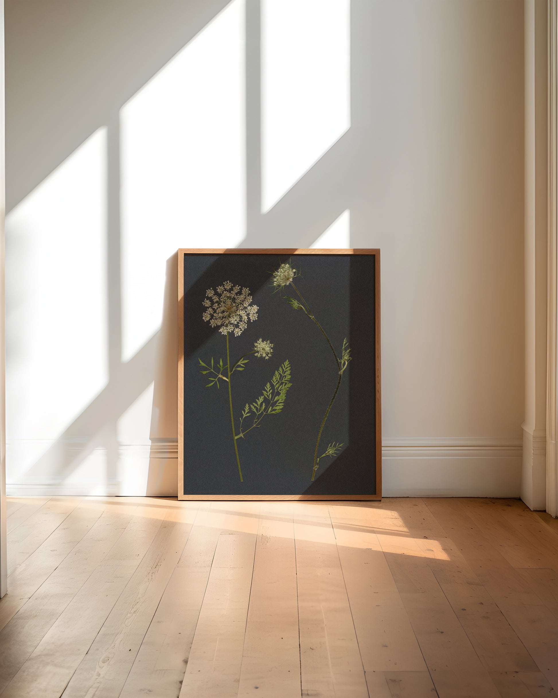 Framed botanical pressed flower art print on a wall with sunlight casting shadows