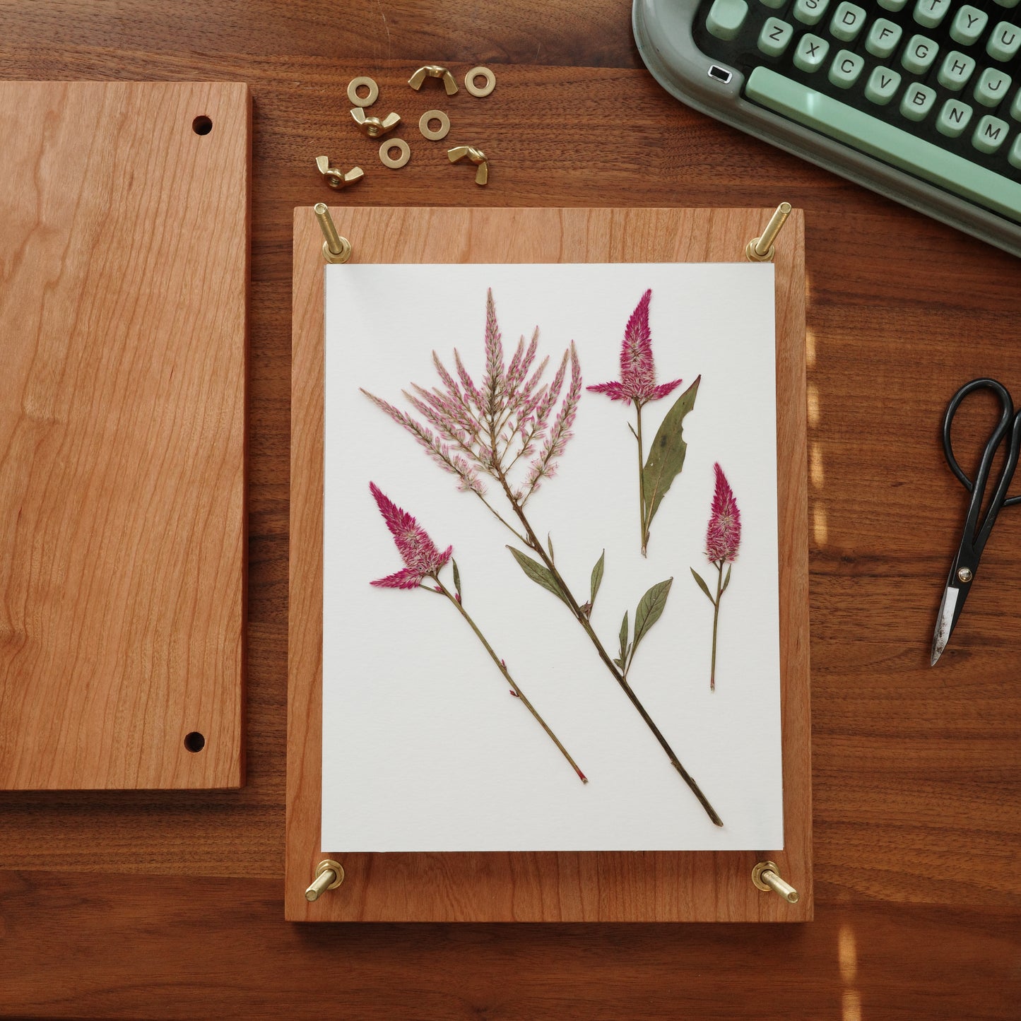 Press No. 10 - Large Heirloom Hardwood Flower Press