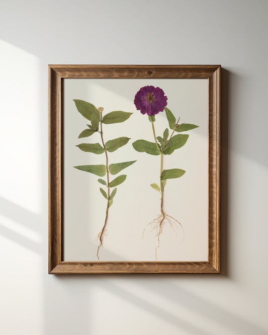 Root Series No. 3