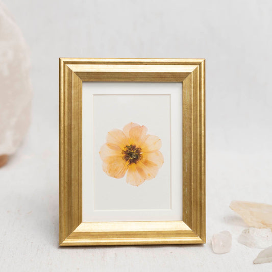 Slow Bloom Framed Mini Print