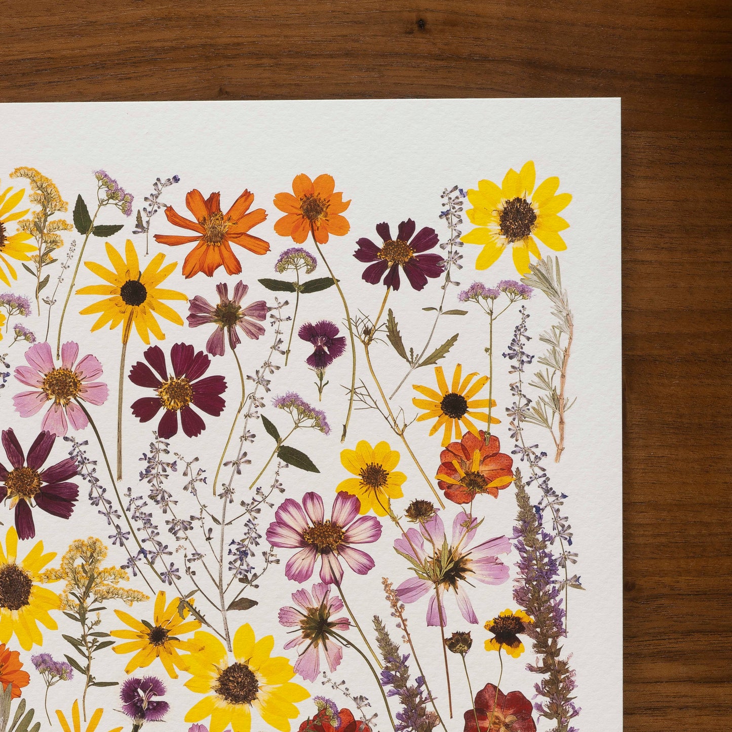 Wildflower Whimsy