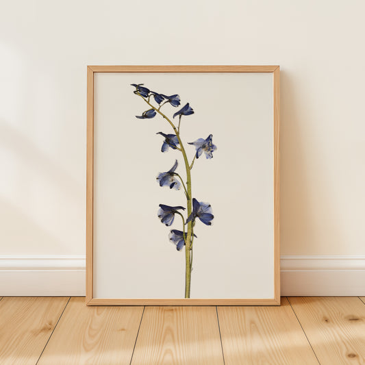 Framed artwork of blue pressed flower art print on a beige wall