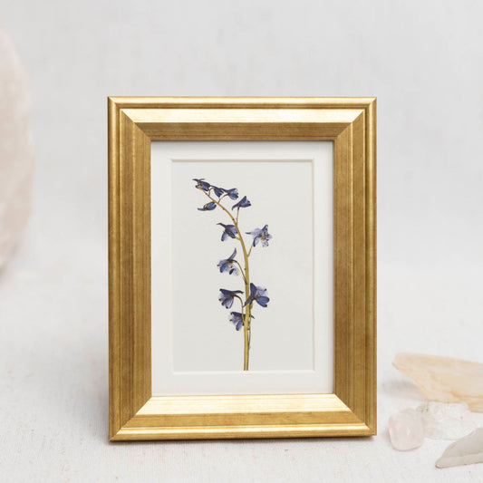 Wistful Blue Framed Mini Print