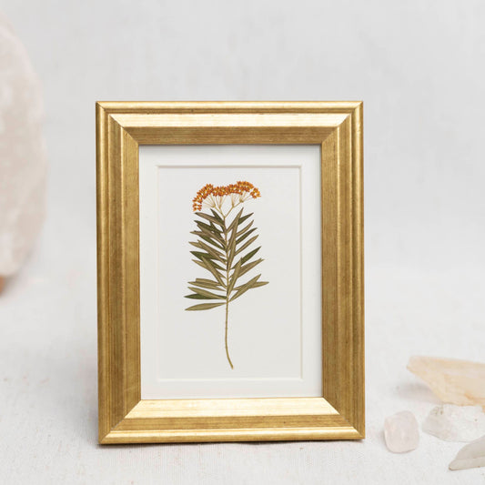 Milkweed Moment Framed Mini Print