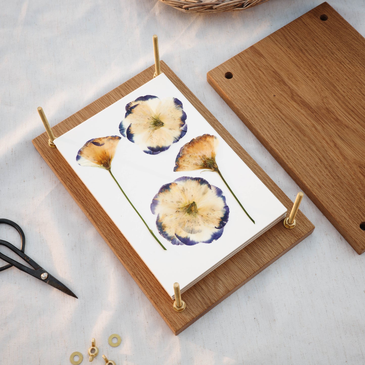 Wood flower press with brass bolts with the top off showing pressed flowers on blotting paper.