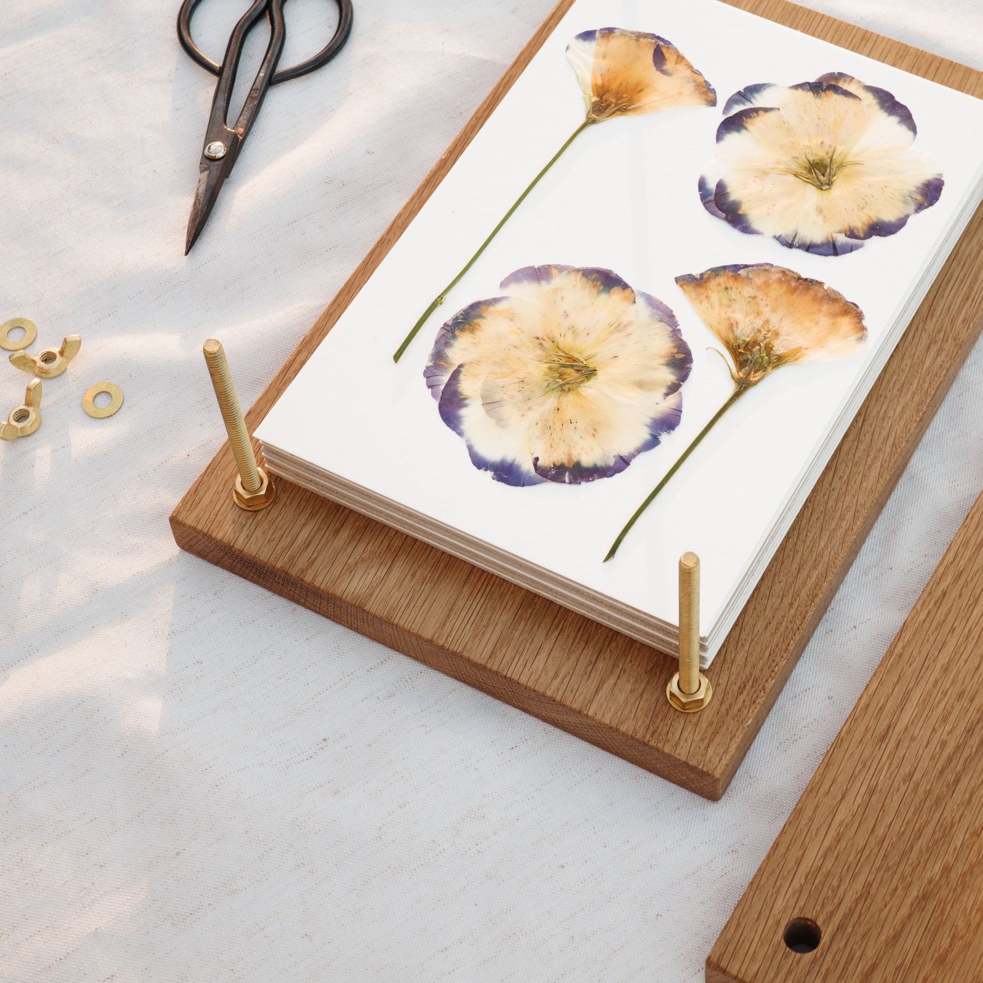 Wood flower press with brass bolts open with pressed flowers on blotting paper