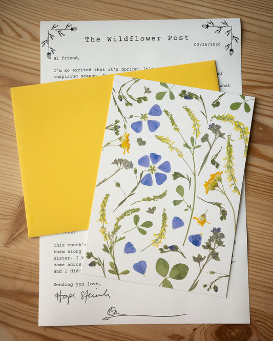 The Wildflower post letter with with a yellow envelope and fine art print of a pressed blue and yellow wildflowers.