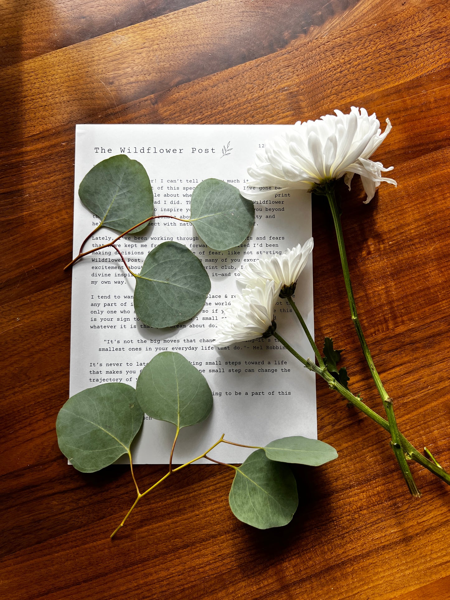 Letter for snail mail club on desk partially covered by leaves and flowers.